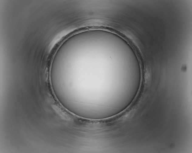 X0000116310973200912211919