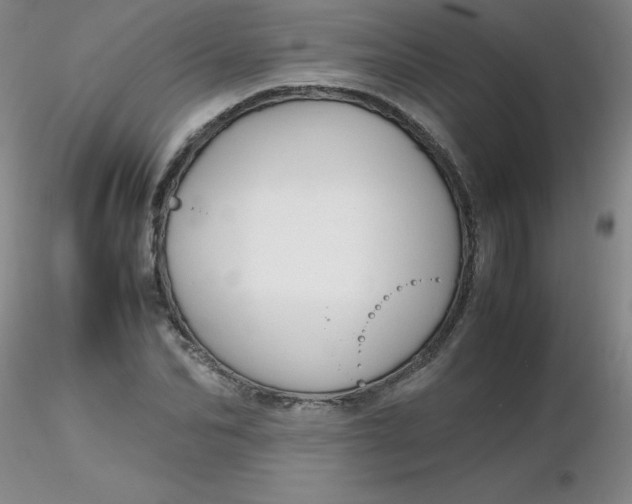 X0000116310974200912211919