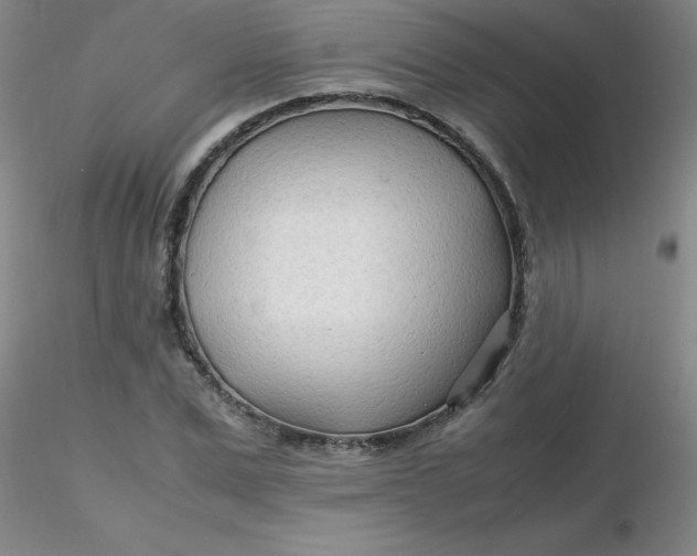 X0000116310975200912211919