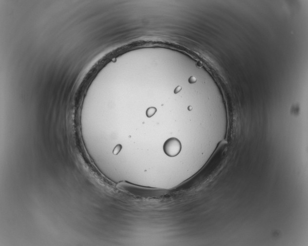 X0000116310976200912211919