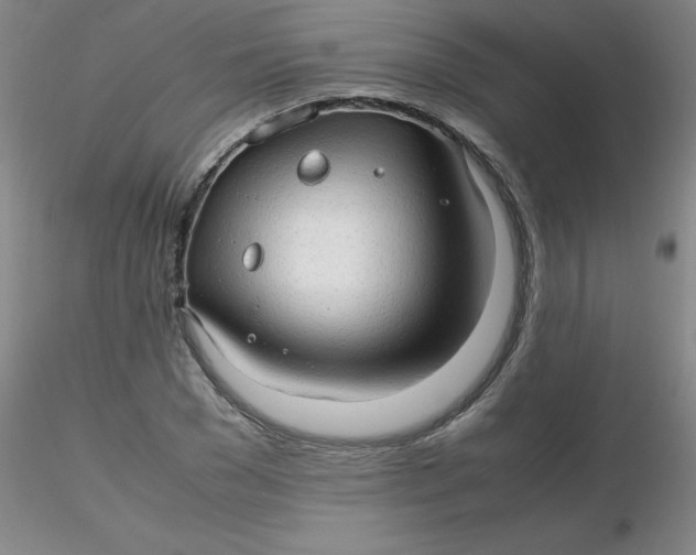 X0000116310977200912211919