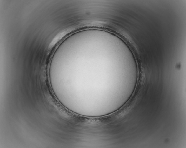 X0000116310978200912211919