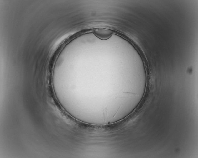 X0000116310979200912211919