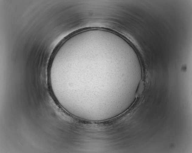 X0000116310980200912211919