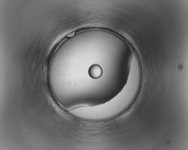 X0000116310981200912211919