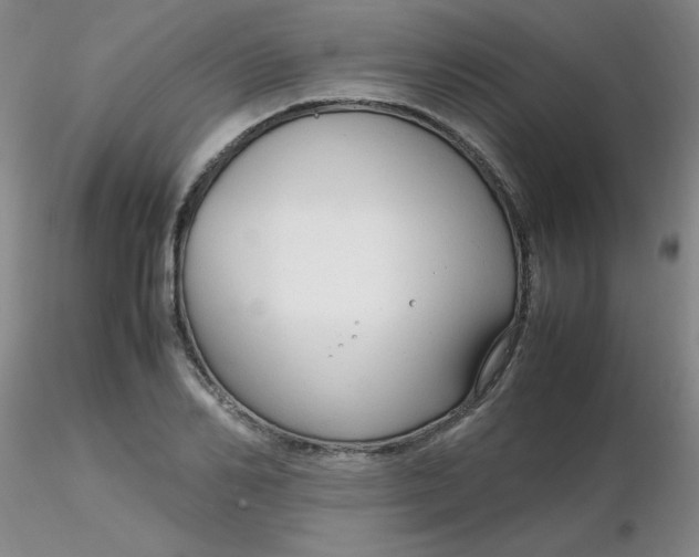 X0000116310982200912211919