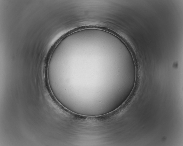 X0000116310983200912211919