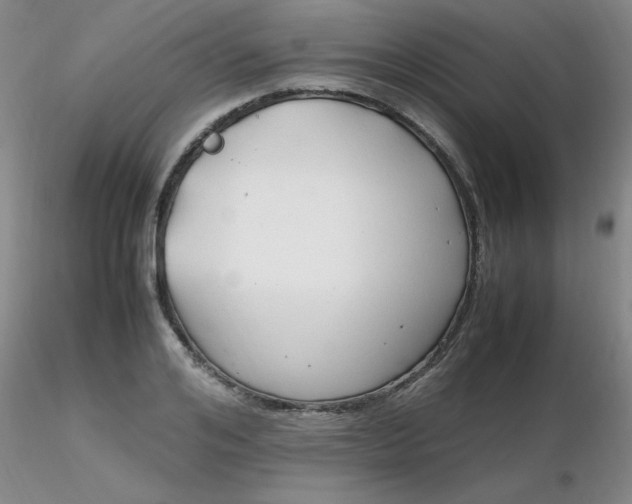 X0000116310984200912211919