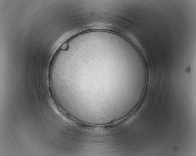 X0000116310986200912211919