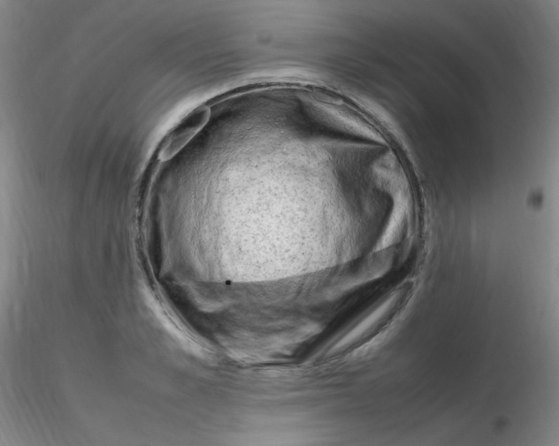 X0000116310989200912211919