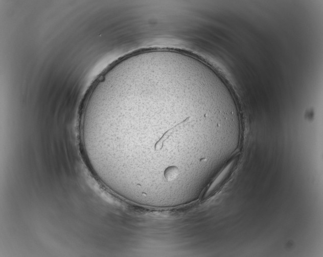 X0000116310990200912211919