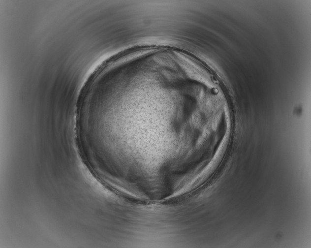 X0000116310992200912211918