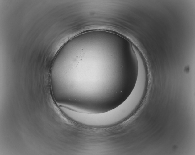 X0000116310993200912211918