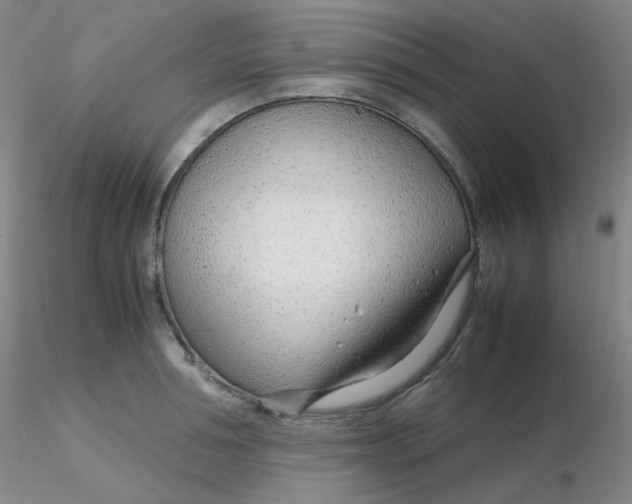 X0000116310994200912211918