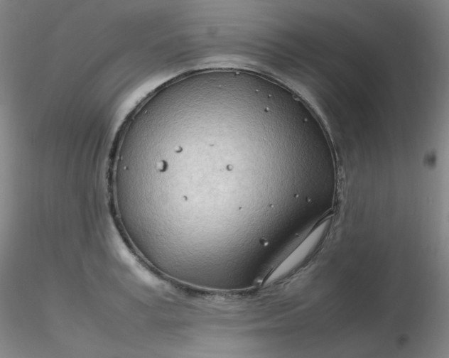 X0000116310995200912211918