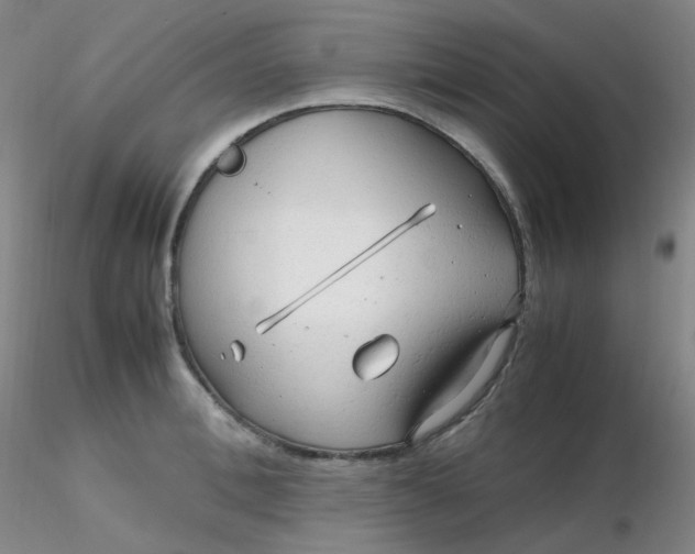 X0000116310996200912211918