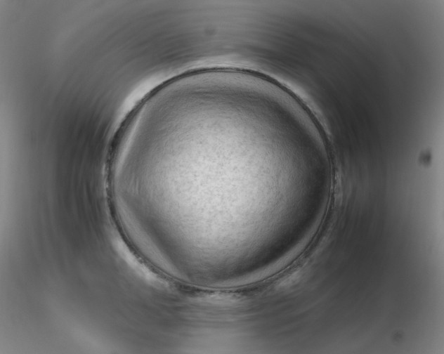 X0000116310998200912211918