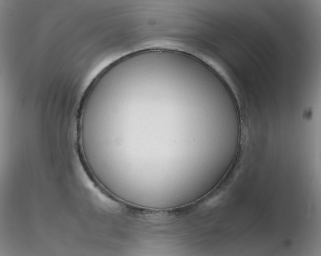 X0000116310999200912211918