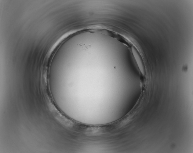 X0000116311000200912211918