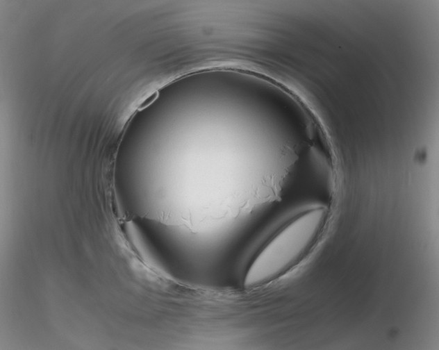 X0000116311001200912211918