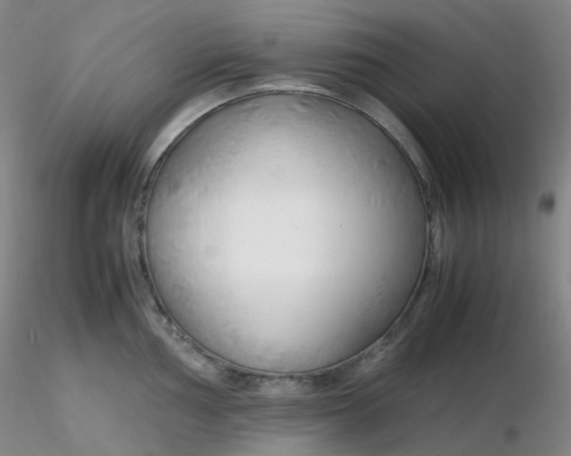 X0000116311002200912211918