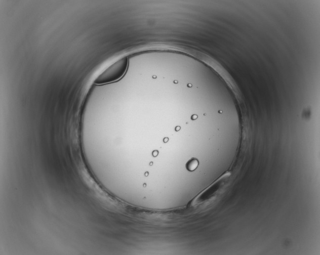 X0000116311004200912211918