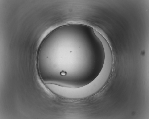 X0000116311005200912211918