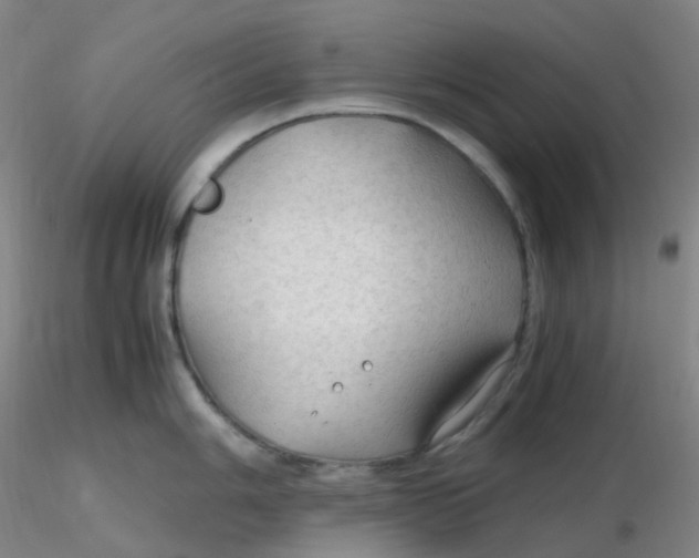 X0000116311006200912211918