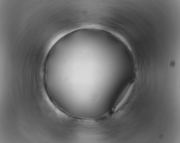 X0000116311007200912211918