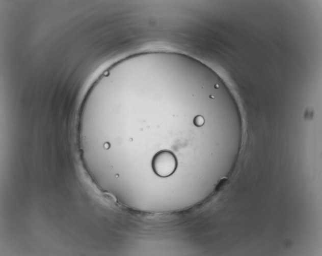 X0000116311008200912211918