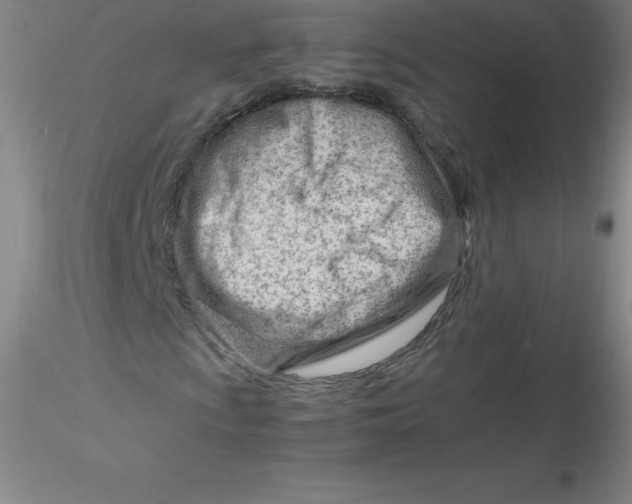 X0000116311009200912211918