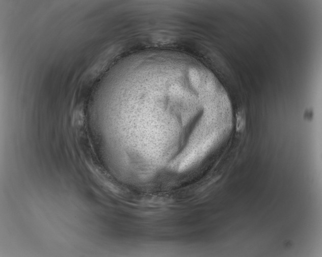 X0000116311011200912211918