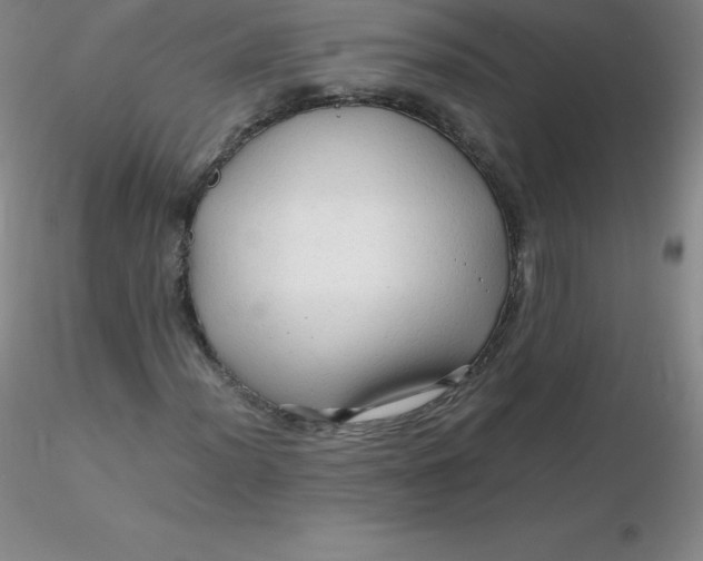 X0000116311012200912211918