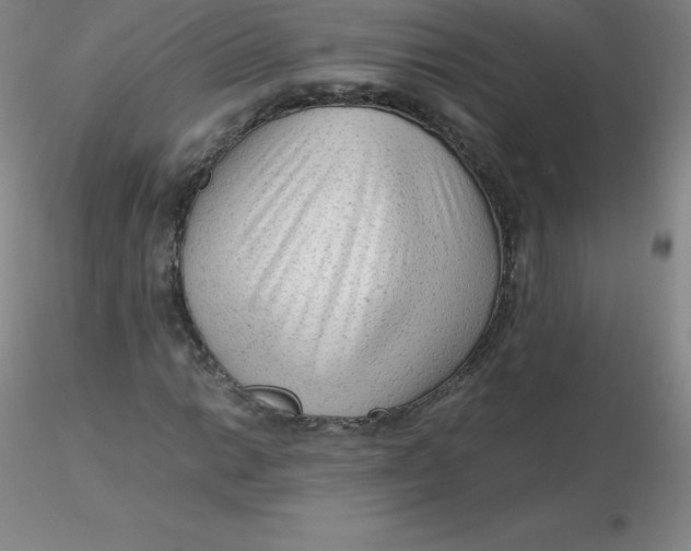 X0000116311014200912211918