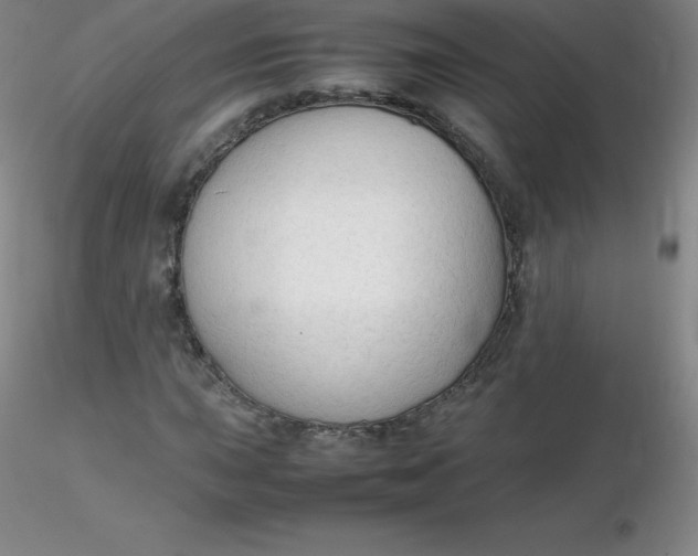 X0000116311015200912211918