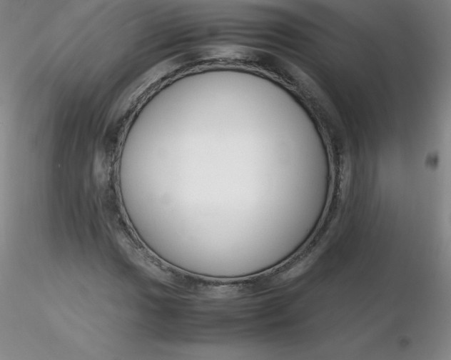 X0000116311017200912211918