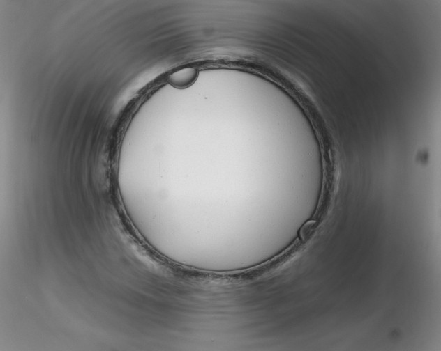 X0000116311018200912211918