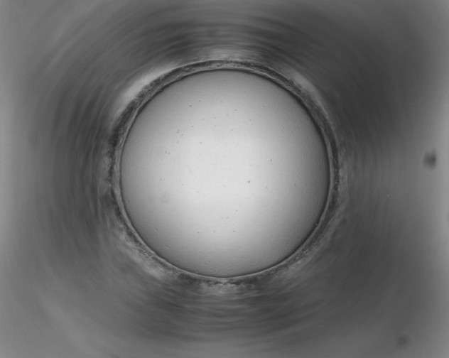 X0000116311019200912211918