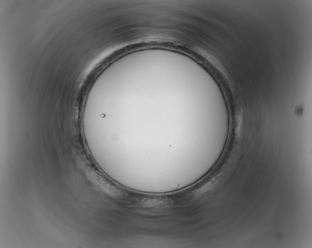 X0000116311021200912211918