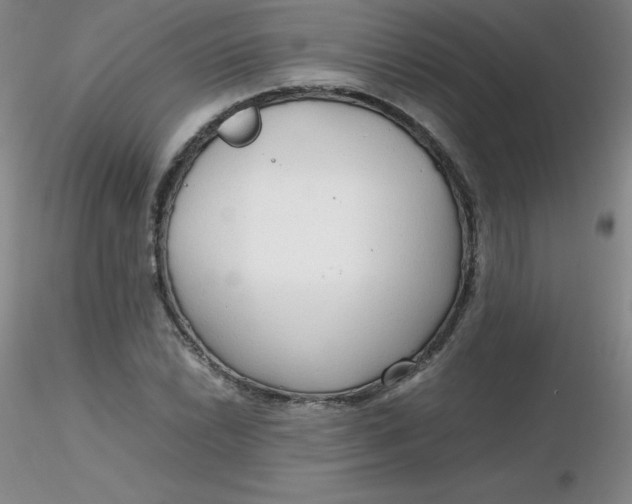 X0000116311022200912211918