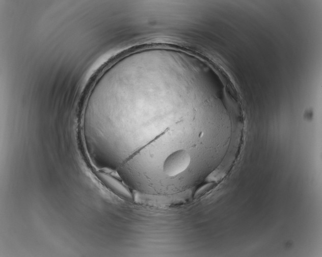 X0000116311024200912211918