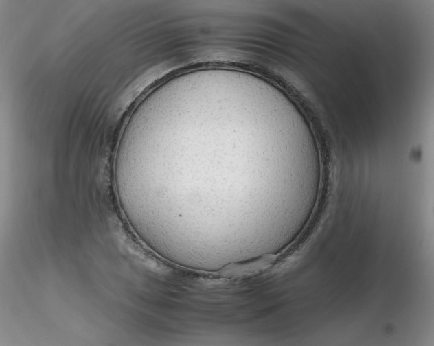 X0000116311025200912211918