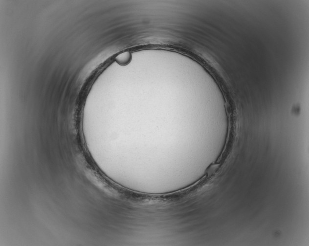 X0000116311026200912211918