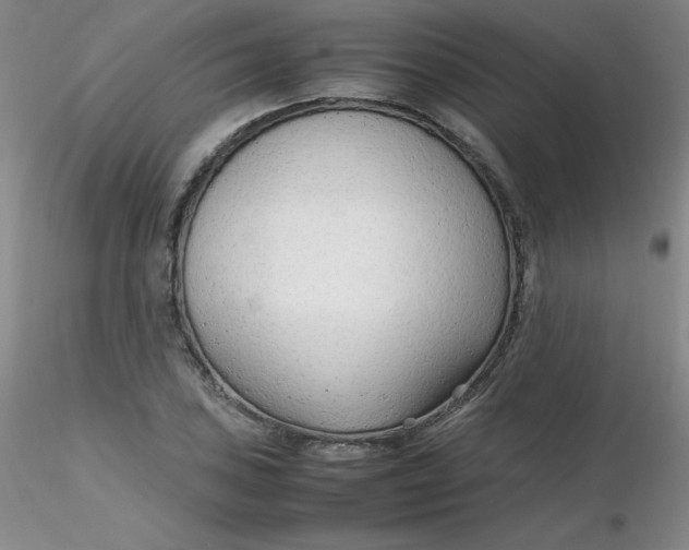 X0000116311027200912211918