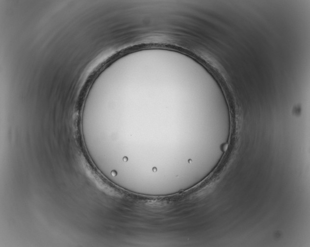 X0000116311029200912211918