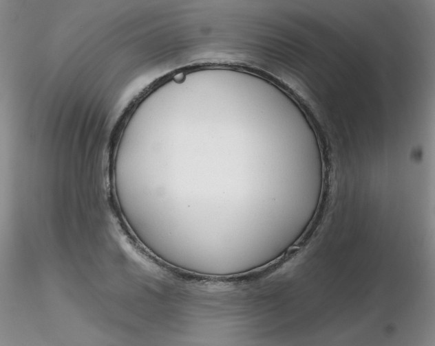 X0000116311030200912211918