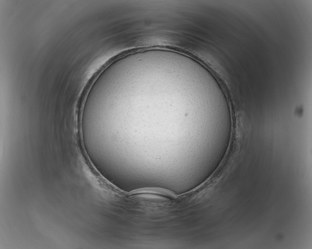 X0000116311031200912211918