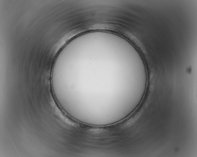 X0000116311033200912211918