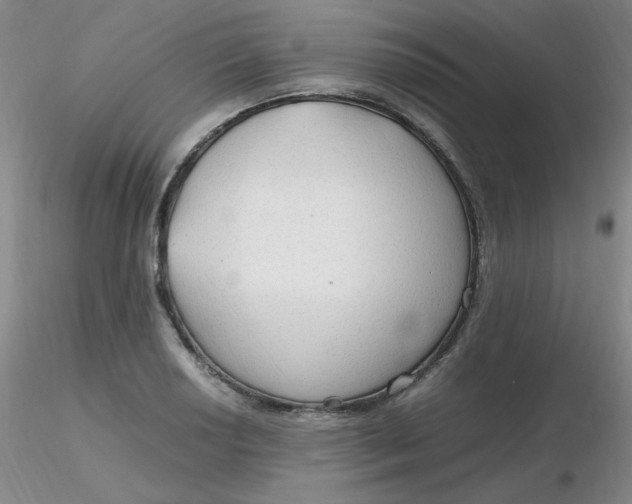 X0000116311034200912211918