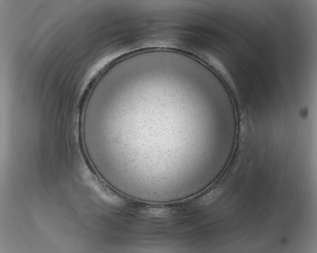 X0000116311035200912211918